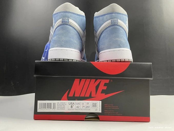 Cheap LUCY Sustainable Jordan1 3603 Grey Hyper Royal Retro 555088- Smoke 1026